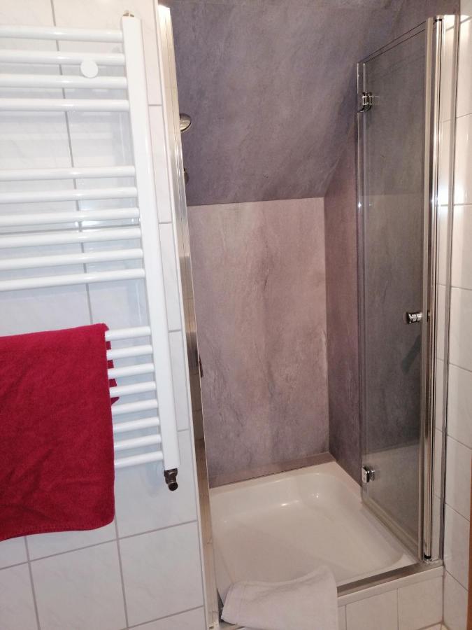 Wilder Mann Hotel 3*