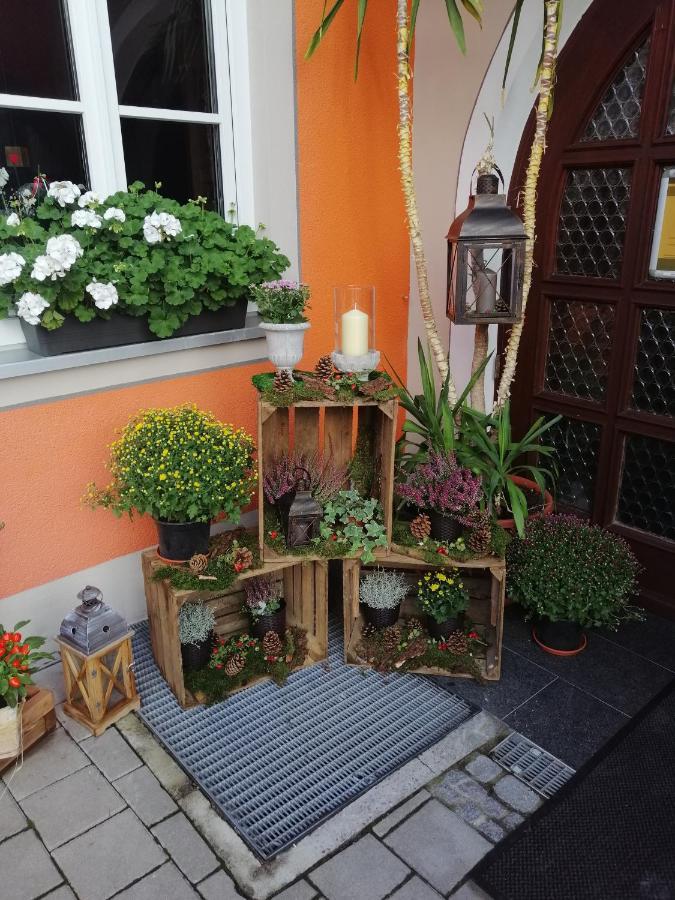 Wilder Mann Hotel 3*