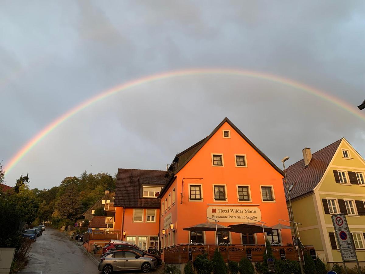 Wilder Mann Hotel 3*